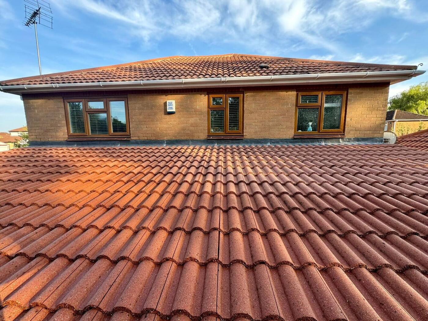 Clean roof tiles after professional moss removal and biocide treatment