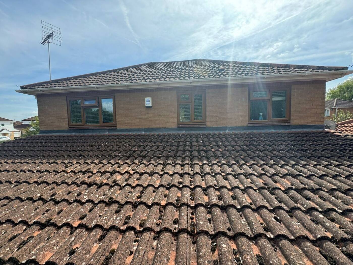 Moss-covered roof tiles before professional roof cleaning in Milton Keynes